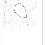 8b. title deed pg 2 (0 16196)