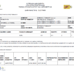 9. ΓΕΝΙΚΕΣ ΠΛΗΡΟΦΟΡΙΕΣ ΤΕΜΑΧΙΟΥ (0 14067)